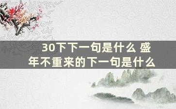 30下下一句是什么 盛年不重来的下一句是什么